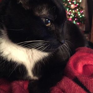 Meet your Posher, Joanne